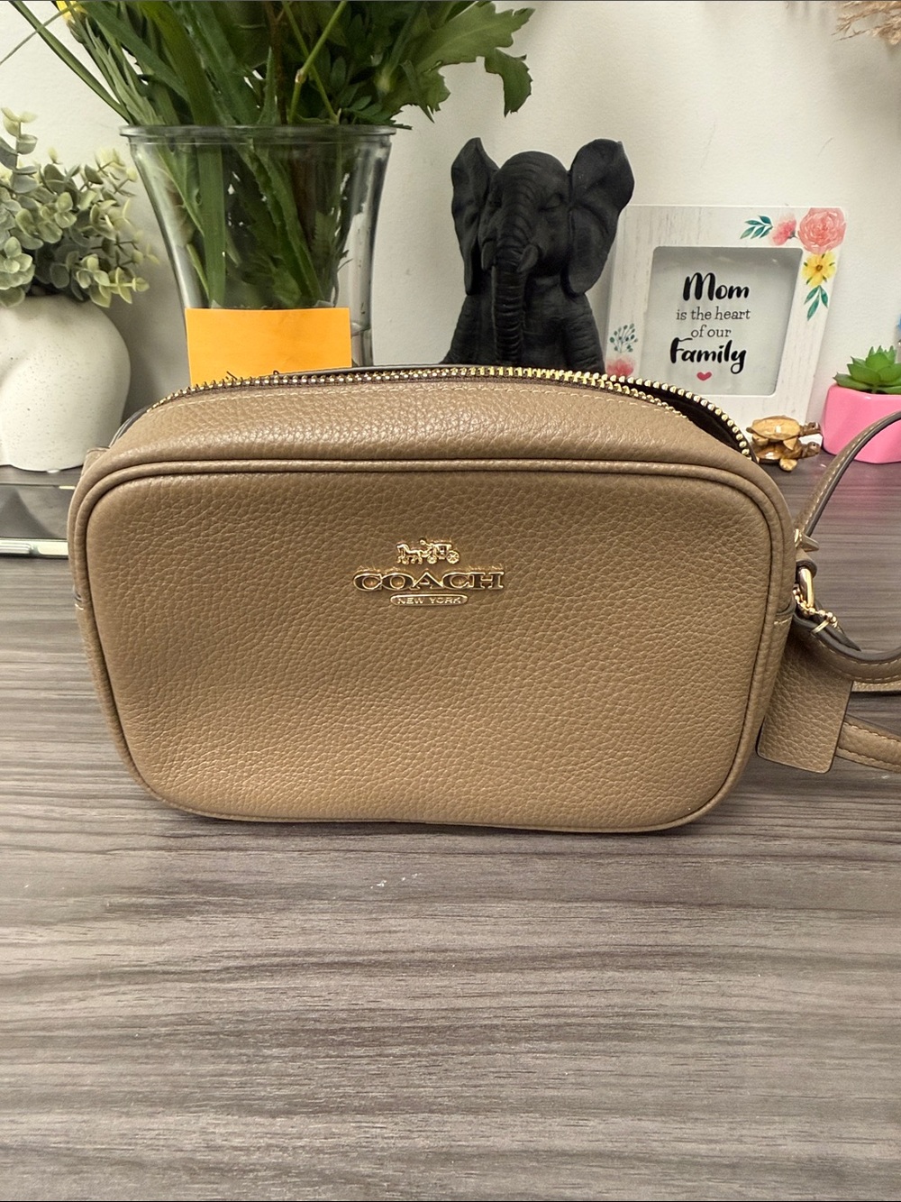 Coach Jamie Pebbled Leather Crossbody Bag in dark stone with Gold Hardware